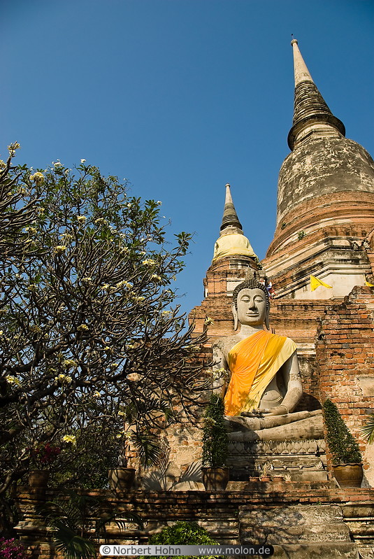 06 Stupas
