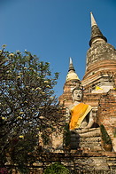 06 Stupas