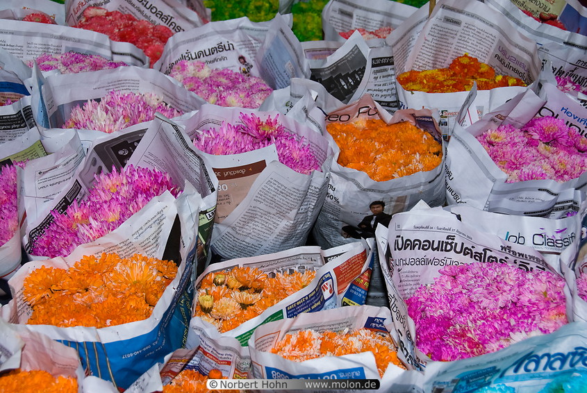 07 Pak Khlong flower market