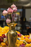 05 Lotus flower to honour Buddha