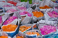 07 Pak Khlong flower market
