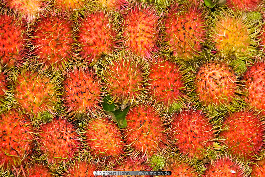 31 Delicious Thai fruit