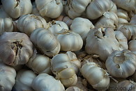 19 Garlic bulbs