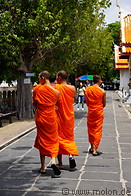 14 Buddhist monks