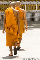 19 Buddhist monks