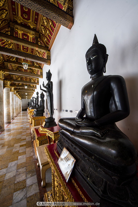 12 Black Buddha statues