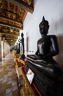 12 Black Buddha statues