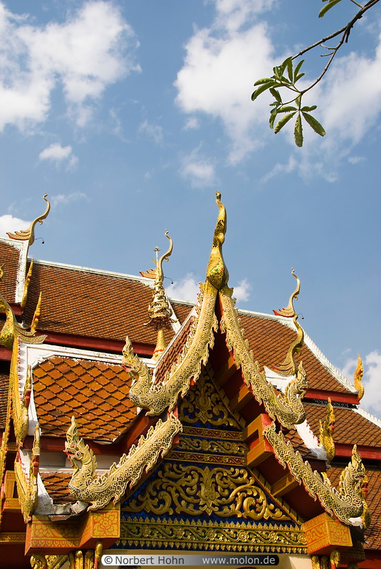 61 Wat Phrasing