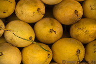 44 Mango fruits