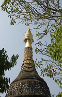 47 Wat Pa Pao
