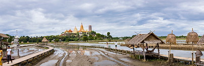 46 View over rice fields and Wat Tham Khao Noi temple