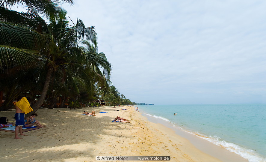 04 Coconut palms fringed beach