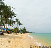 01 Coconut palms fringed beach