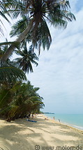 03 Palm trees on beach