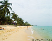05 Coconut palms fringed beach