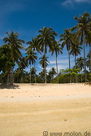 24 Palm fringed beach