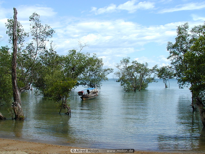 02 Mangroves on Rai Leh east beach