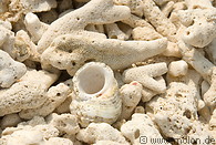 05 Coral pieces on the beach of little Rayang island