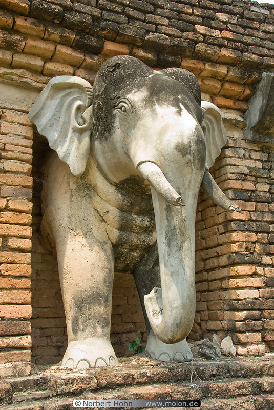 17 Elephant figure of Wat Chang Lom 