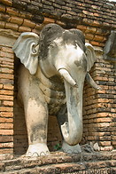 17 Elephant figure of Wat Chang Lom 