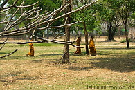 01 Buddhist monks
