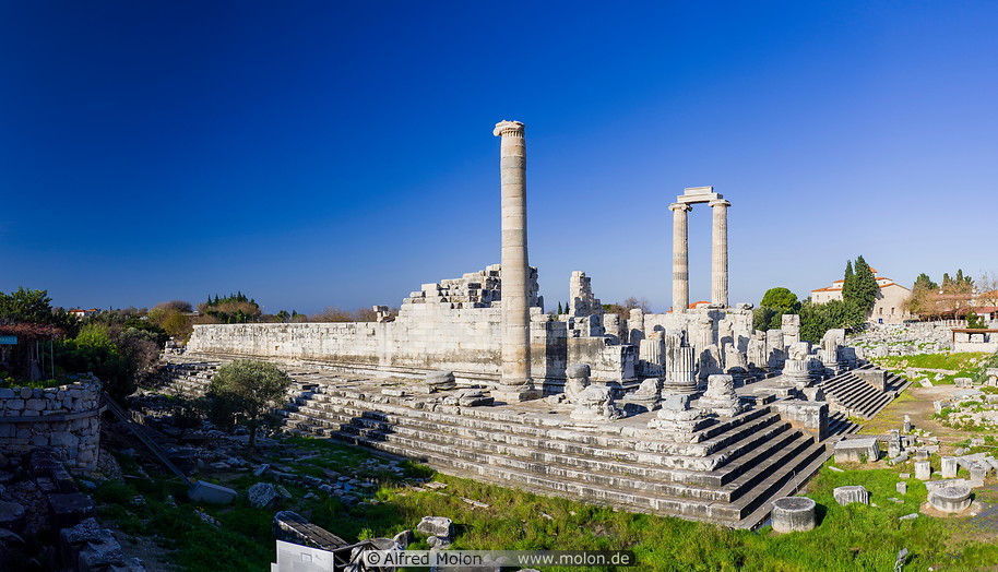 05 Temple of Apollo at Didyma site