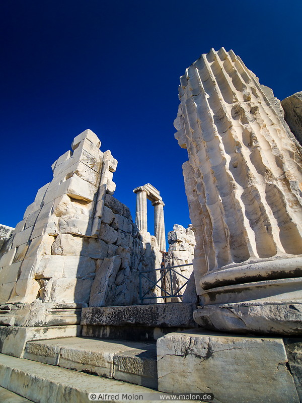 16 Columns at temple of Apollo