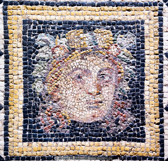 27 Dionysus mosaic