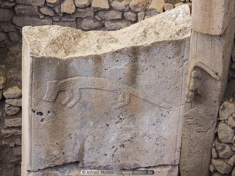 11 Animal reliefs on pillars
