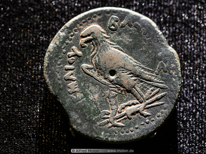 13 Hellenistic period coin