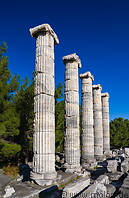 22 Temple of Athena columns