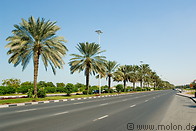 03 Palm trees on Al Khaleej road