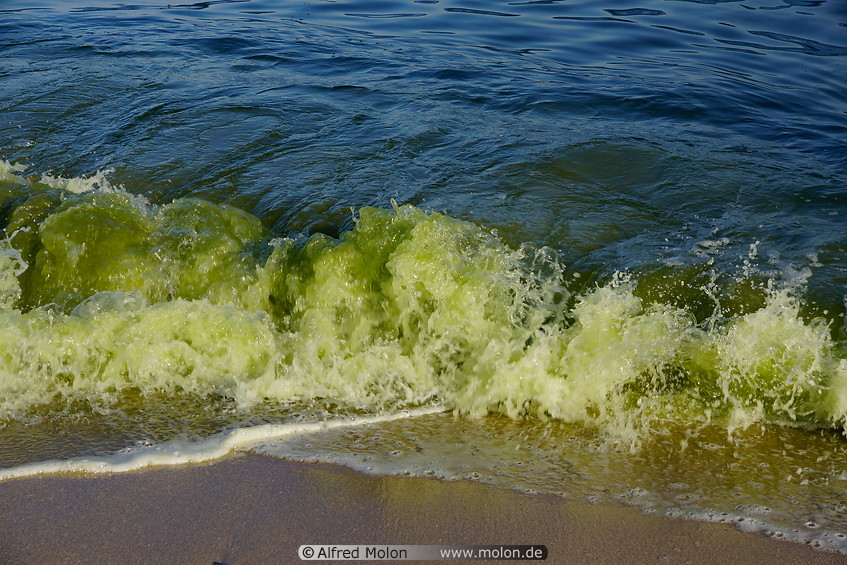 08 Green sea water