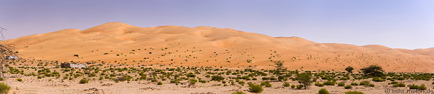 01 Bushes and sand dunes