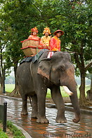 33 Tourists dressed as Vietnamese emperors on elephant