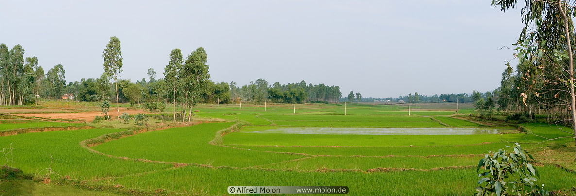 02 Rice fields