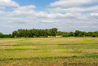 03 Rice fields during dry season