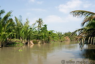 05 Canal and palm trees